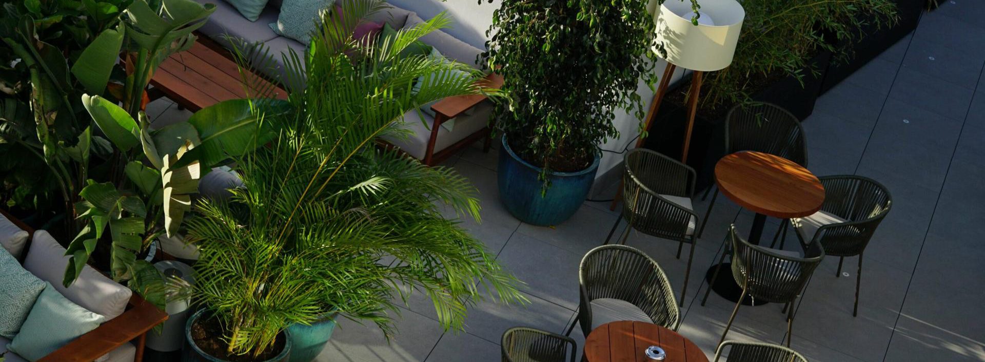 vistas de la terraza del soho